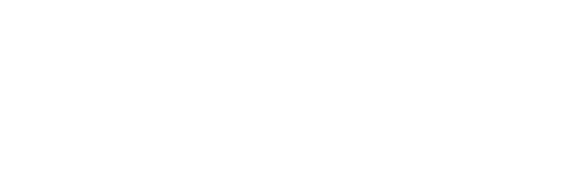 Pitibiribá Performance | Gestão de tráfego Google Ads e Meta Ads